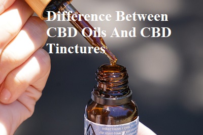 What Is The Difference between CBD Oils And CBD Tinctures