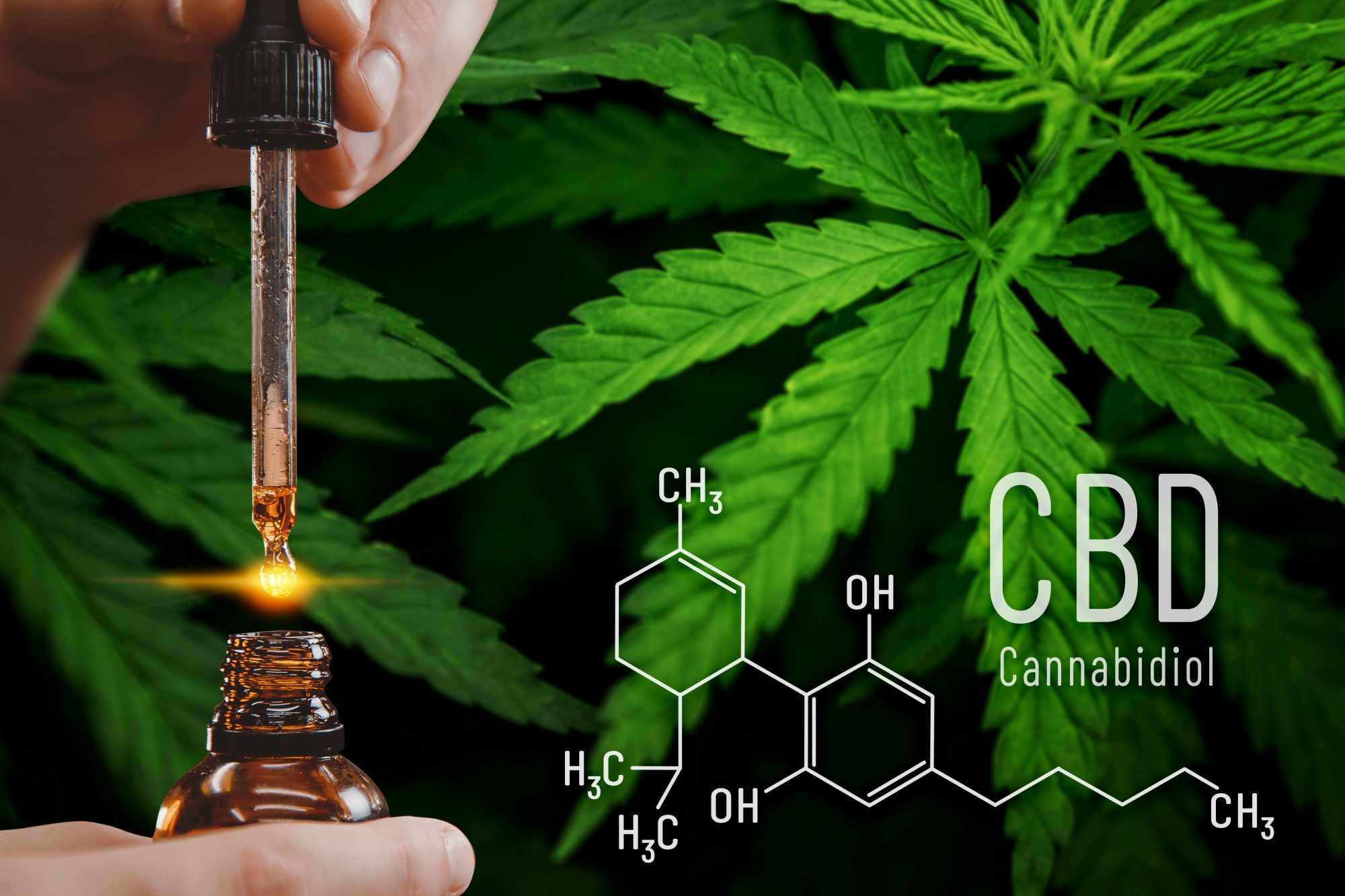 How Long Is Cbd Detectable In Urine