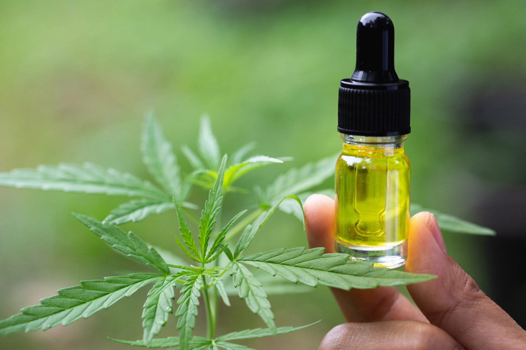 What Is Cbd Used For